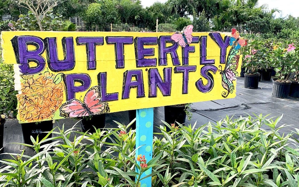 A sign that says butterfly plants in front of some bushes.