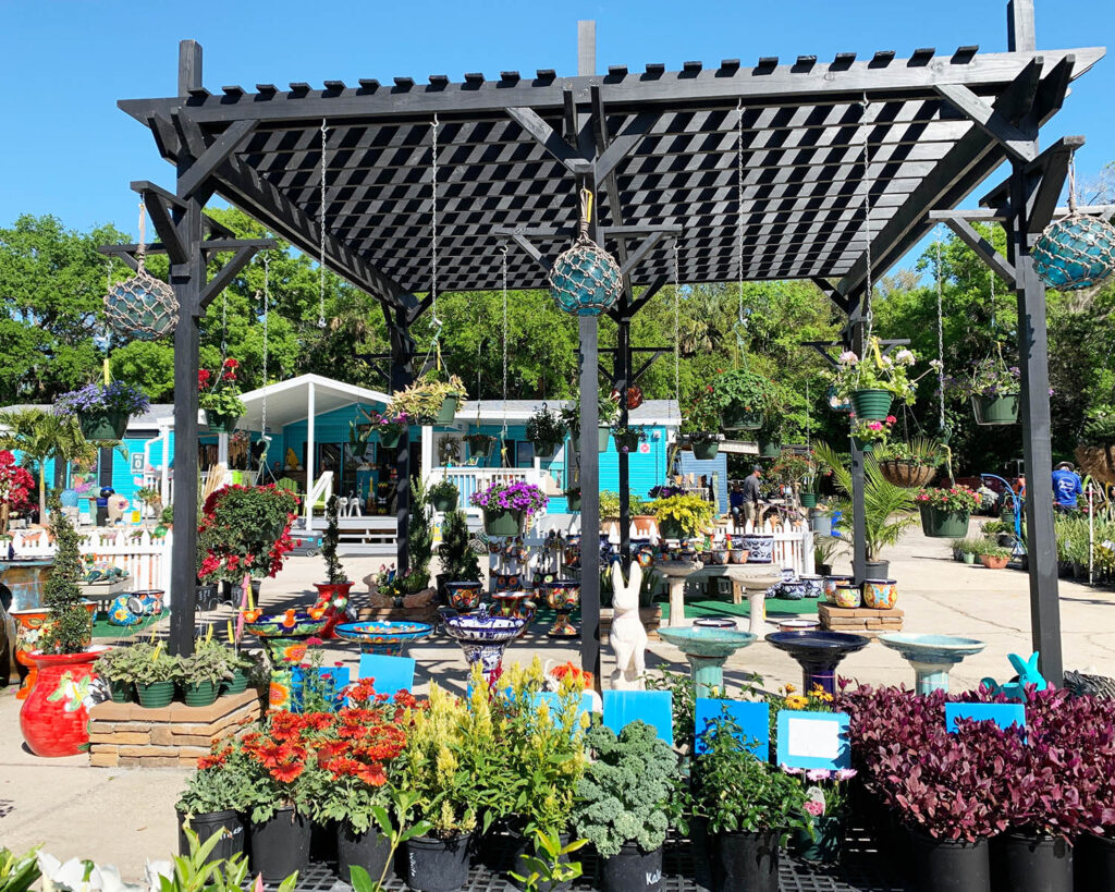 A garden with many different plants and flowers.