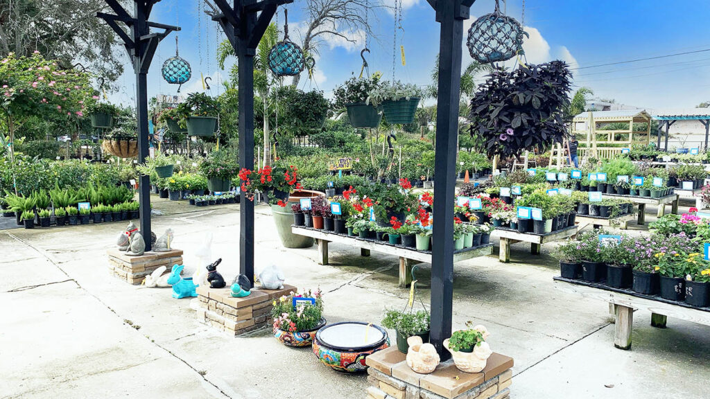 A garden with many plants and flowers hanging from the ceiling.