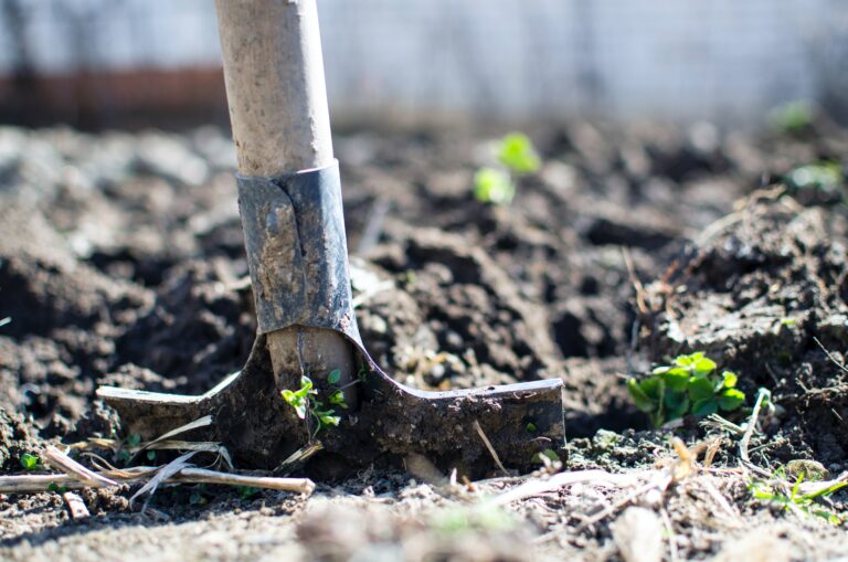 A close up of the end of a shovel in dirt.