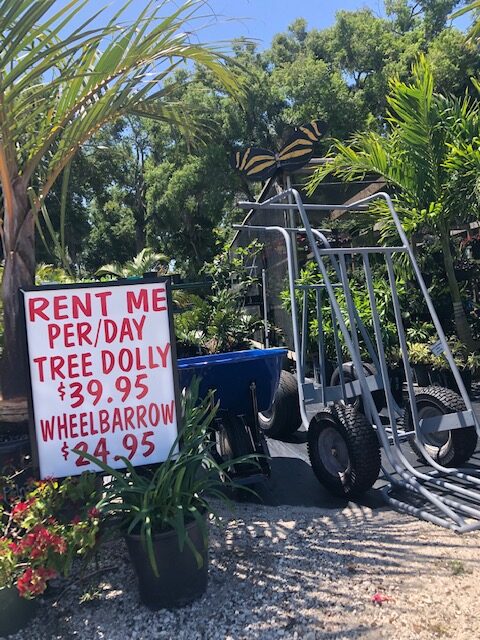 A sign advertising rent me for a tree dolly.