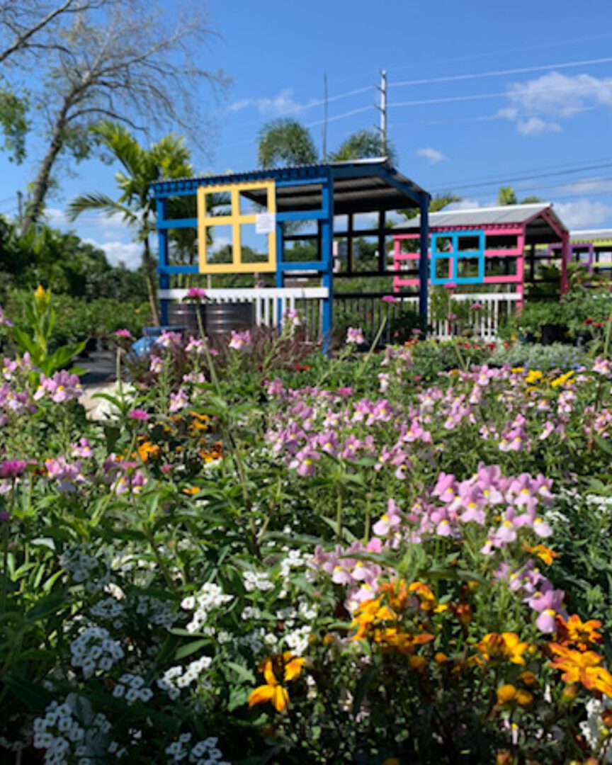 A garden with flowers and trees in the background.