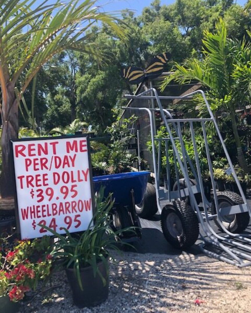 A sign advertising rent me for a tree dolly.