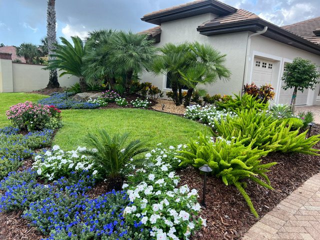 A beautiful garden by the house